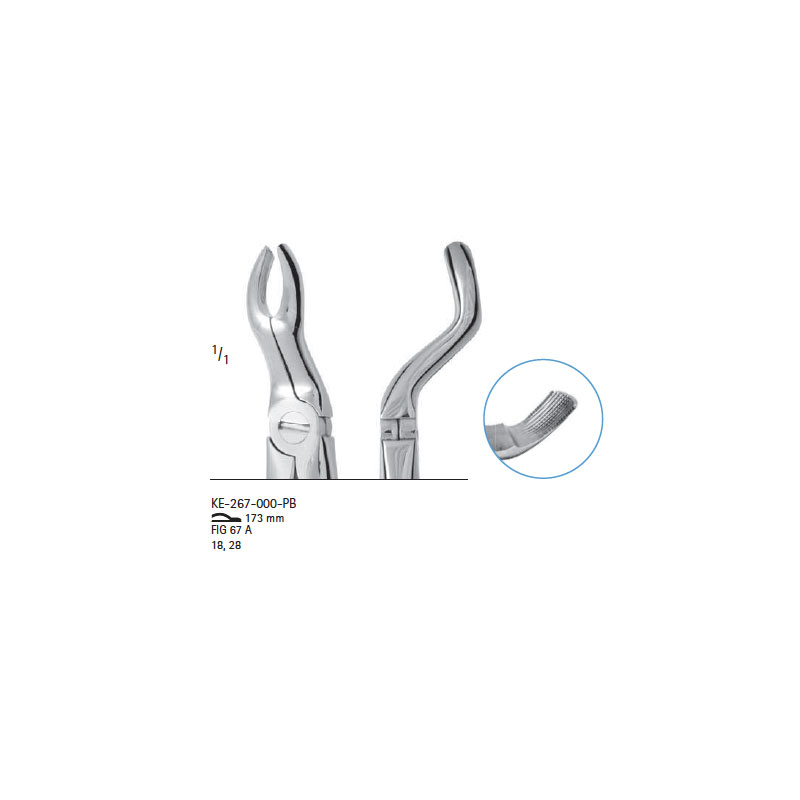 Extracting forceps # fig.67A  
