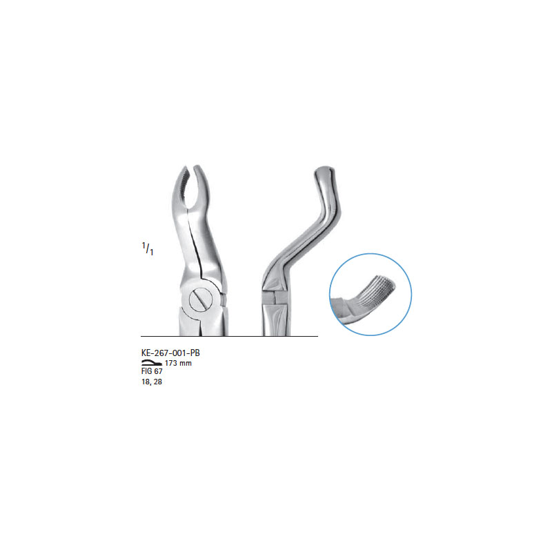 Extracting forceps # fig.67 